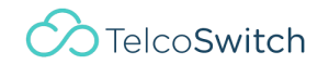 Logo - Telcoswitch